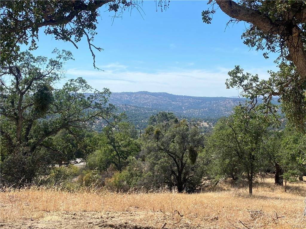 1807 Sentinel Drive - Photo 1