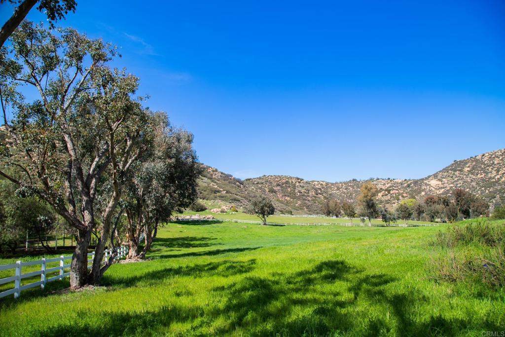 0 Vicente Meadows Drive - Photo 1