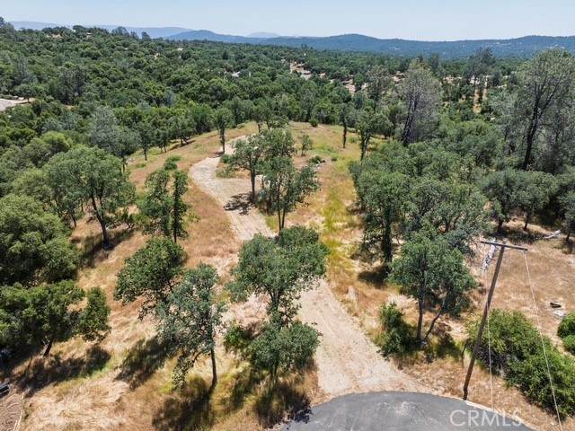 3 Acres Serendipity Lane - Photo 1