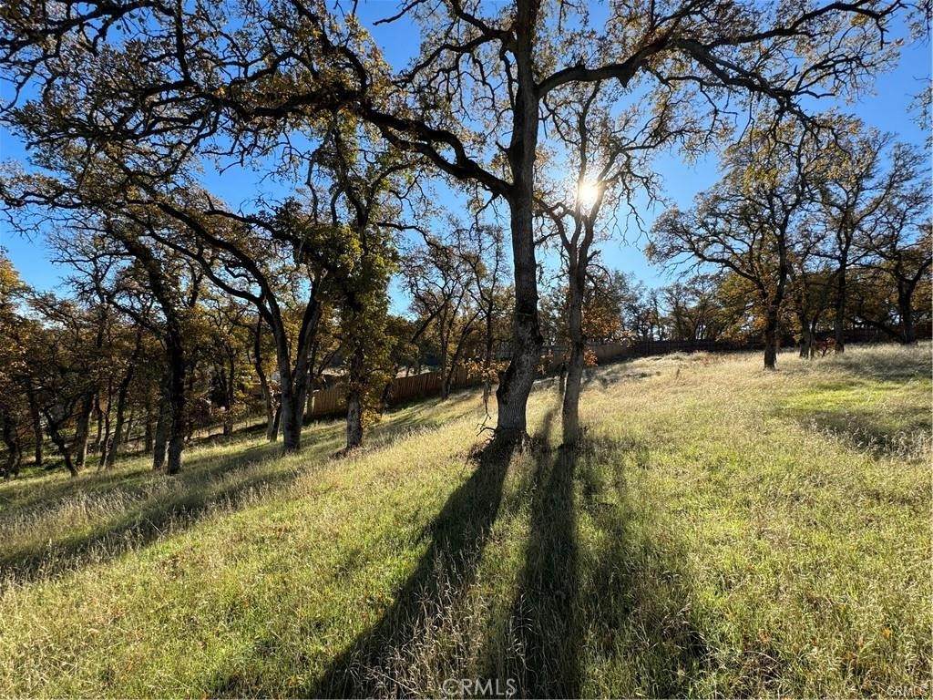 43 Alta Mira Lane - Photo 1