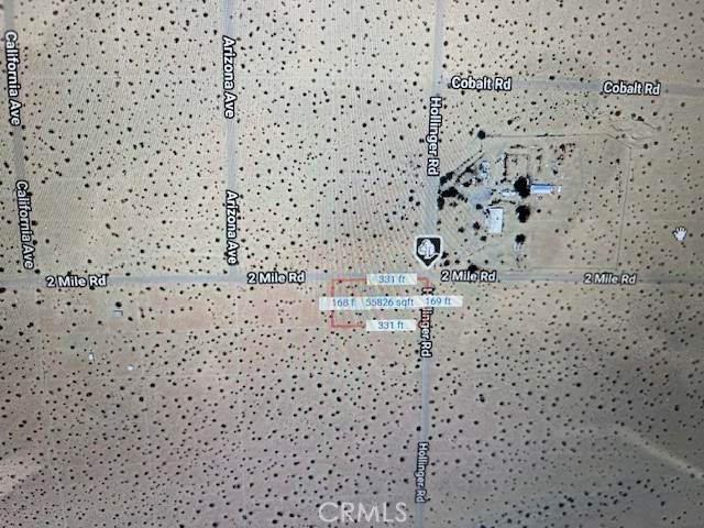 2 Joshua Tree - Photo 1