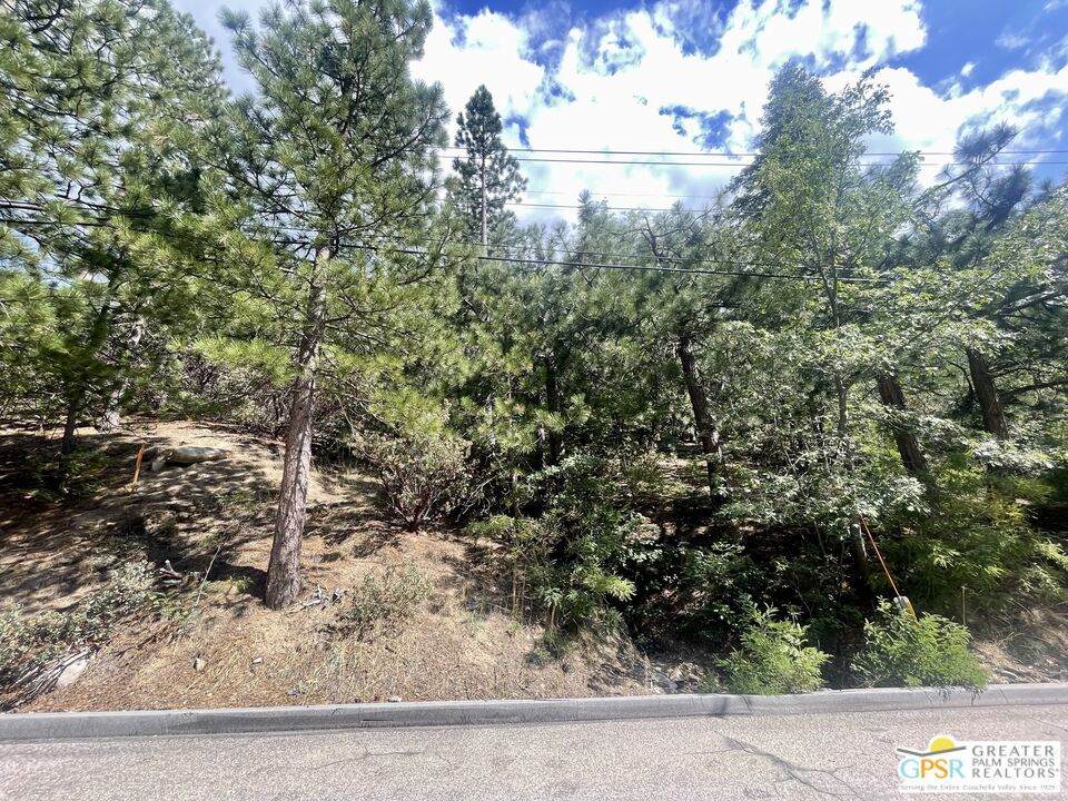 6011 Mountain Home Creek Road - Photo 1