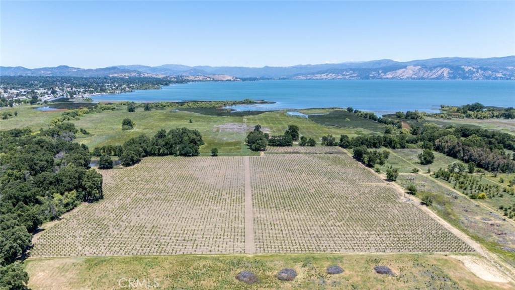270 Soda Bay Road - Photo 1