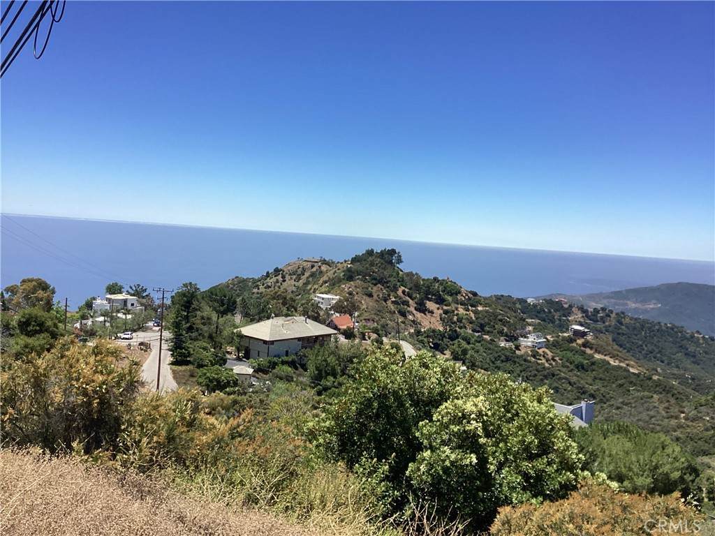 24725 Saddle Peak Road - Photo 1