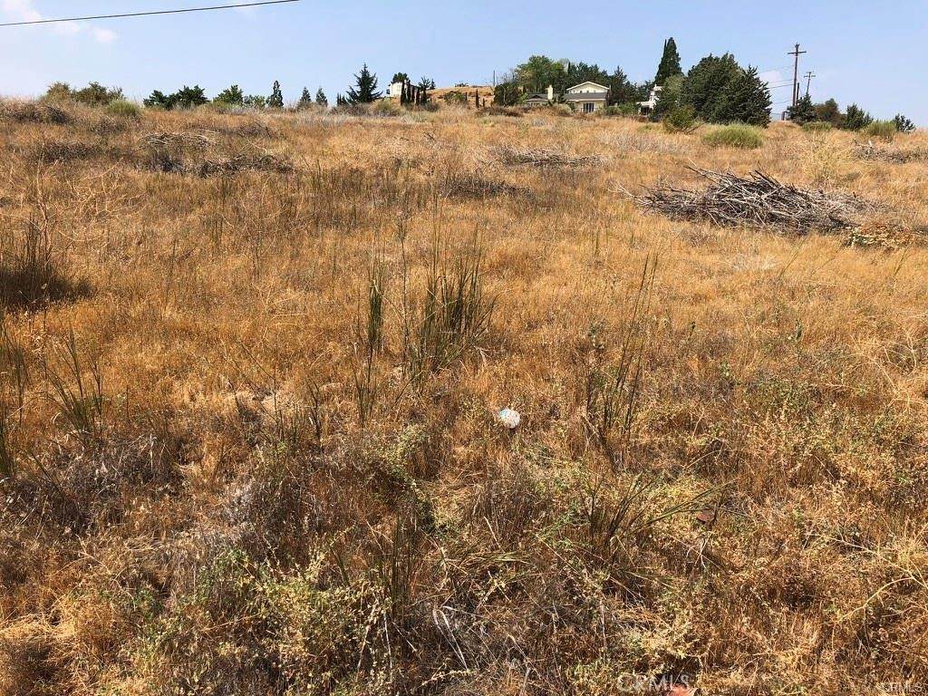 0 Elizabeth Lake Road - Photo 1