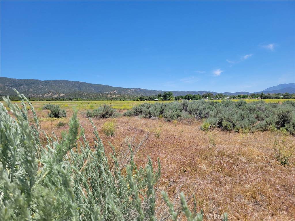 48 Bonita Vista - Photo 1