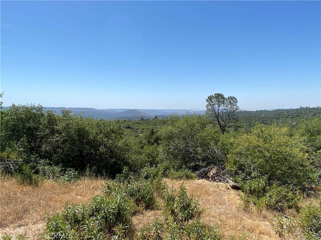 0 38.31 AC Flying O Ranch Rd. - Photo 1