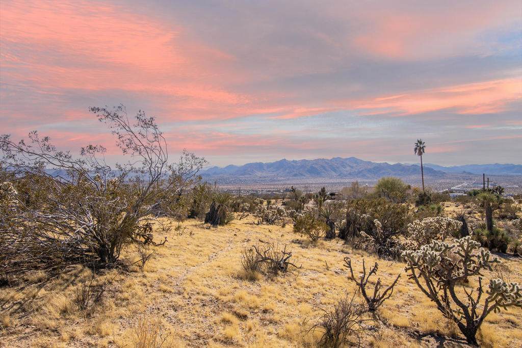 5610 Yucca Mesa Road - Photo 1