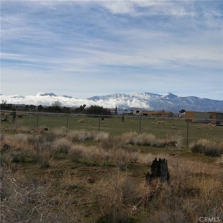 10611 Yucca Terrace Drive - Photo 1