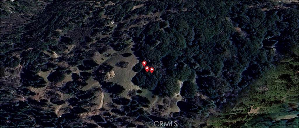 756 Mojave River (Near) Road - Photo 1