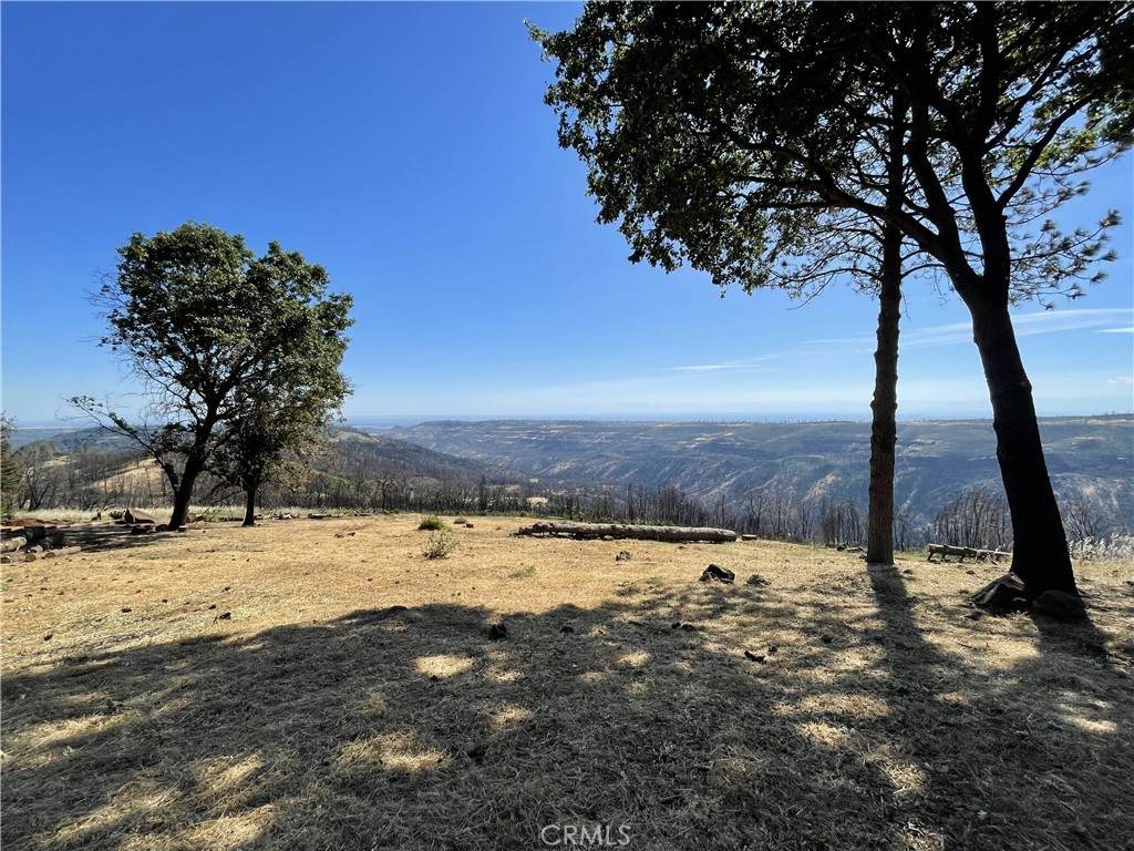 0 Woodland Park Drive - Photo 1
