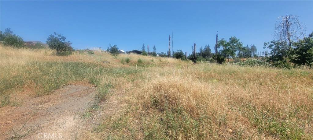 1433 Bennett Road - Photo 1