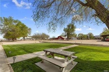 14433 Roy Rogers Ranch Road - Photo 1