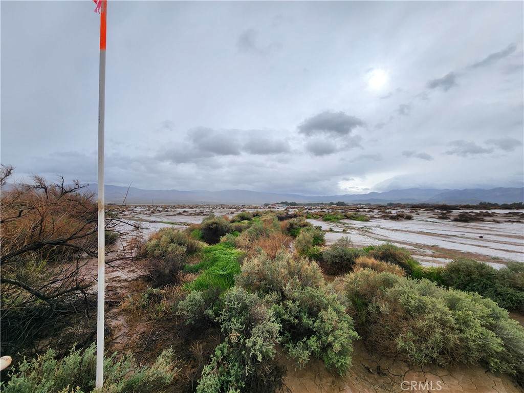 20 AC Morgan Lane - Photo 1