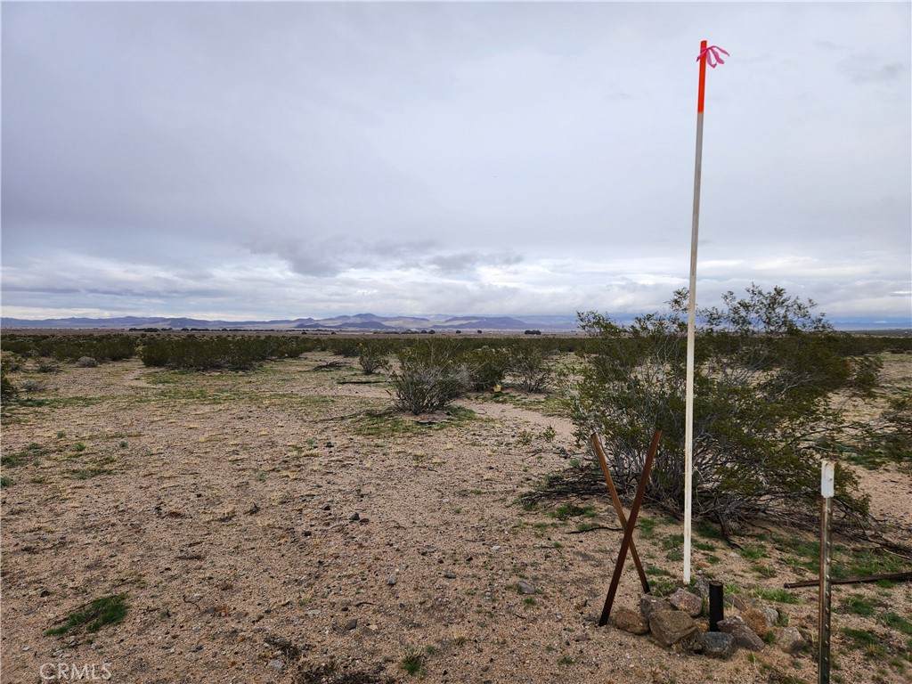 40 AC Near Center Road - Photo 1
