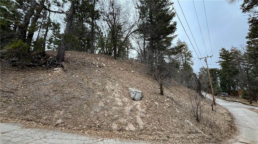 701 Preston Drive - Photo 1