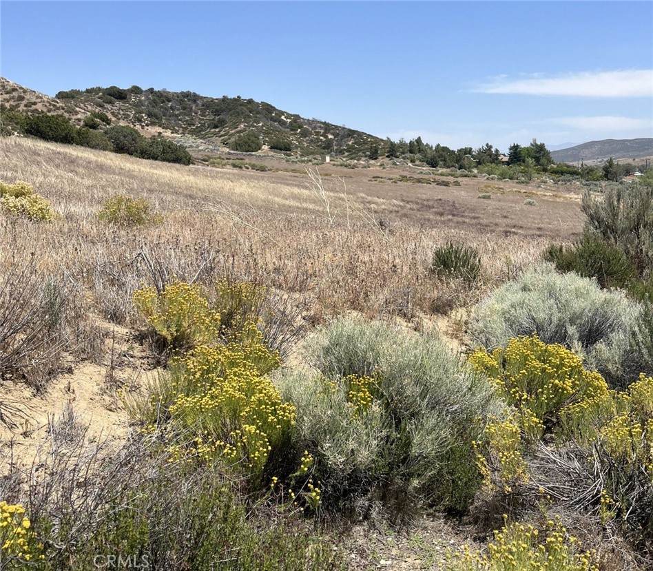 8201 Elizabeth Lake Road - Photo 1