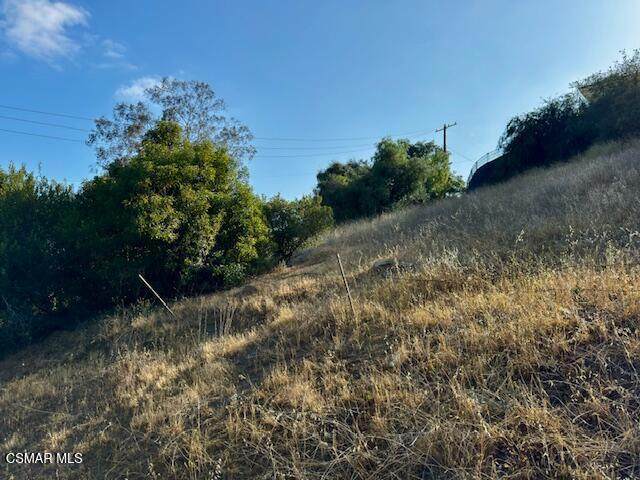 8631 8639 Limerock Terrace - Photo 1