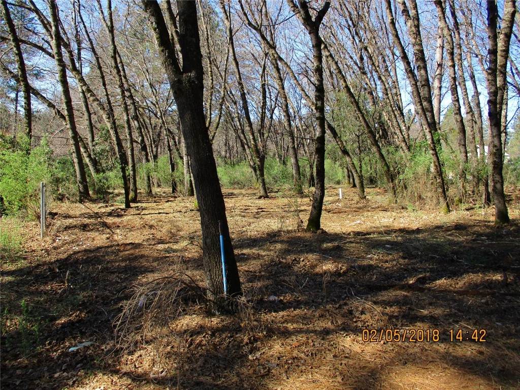 0 Edgewood - Photo 1