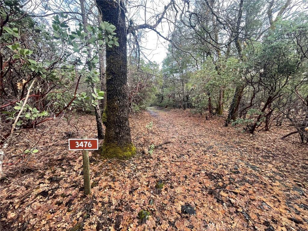 3476 Upland Way - Photo 1
