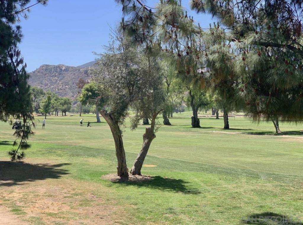 3177 Dehesa Rd - Photo 1