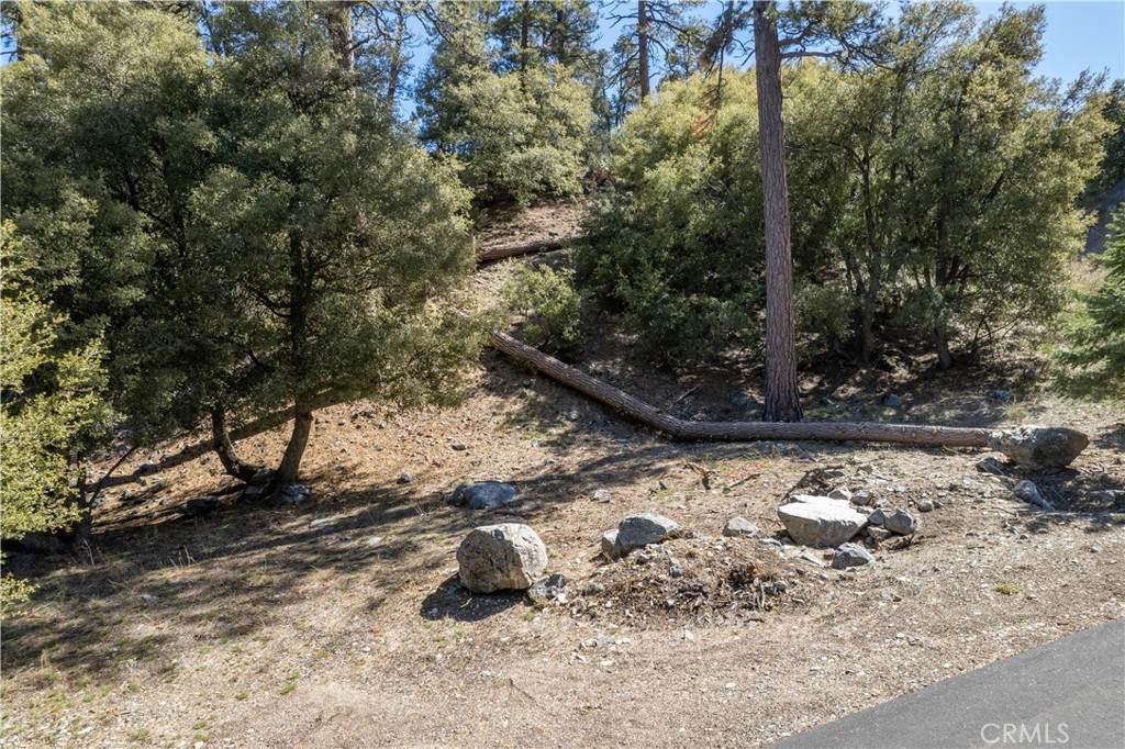 1300 Banff Drive - Photo 1