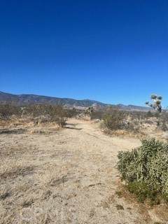 https://bt-photos.global.ssl.fastly.net/socal/orig_boomver_1_374550296-3.jpg