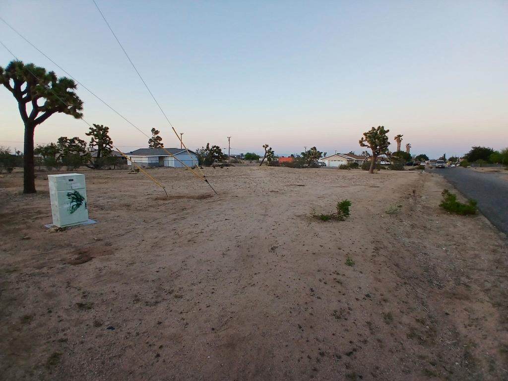 57752 Pimlico Street - Photo 1