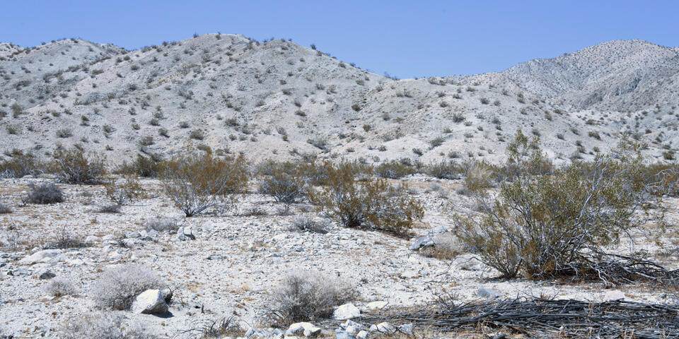 1 Camino Zangiri - Photo 1