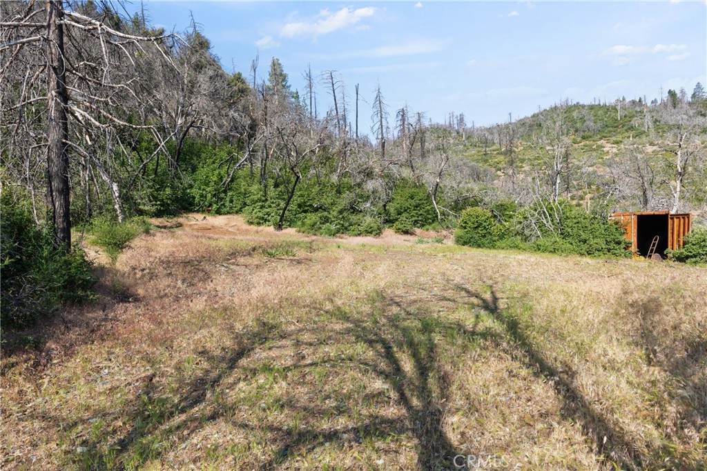0 Eagle Peak Lookout Rd - Photo 1