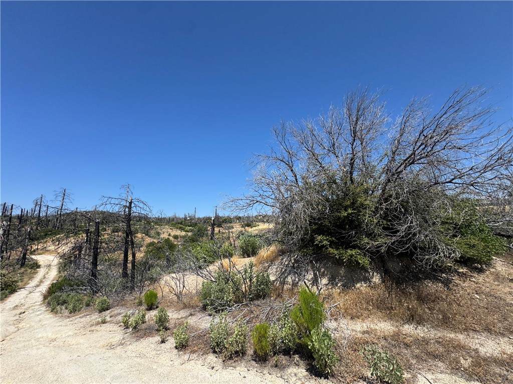 0 Sierra View - Photo 1