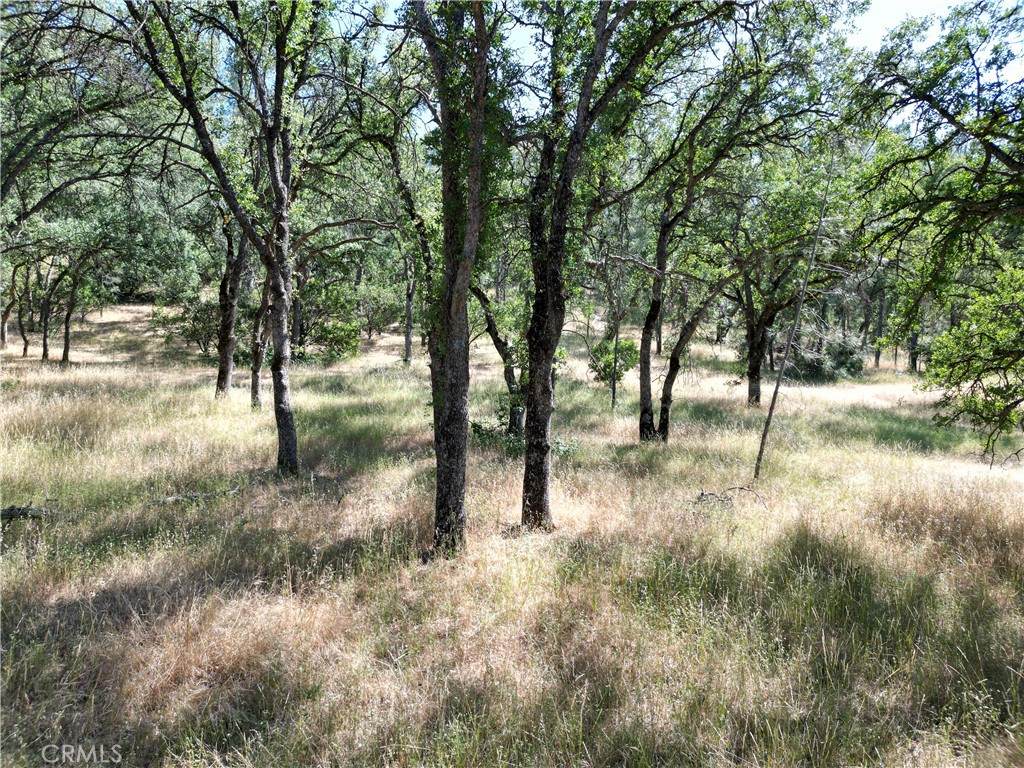 16625 Rancho Tehama Road - Photo 1
