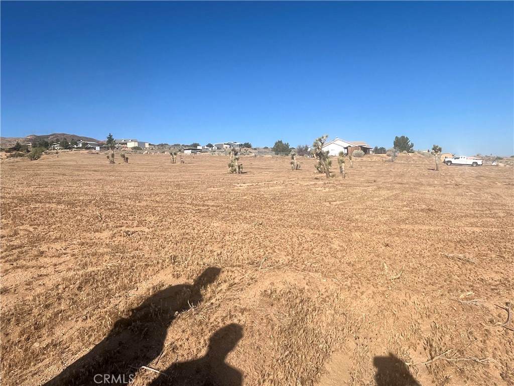 26665 Roundup Way - Photo 1