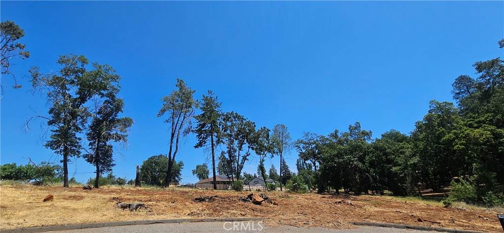 0 Pinewood Court - Photo 1