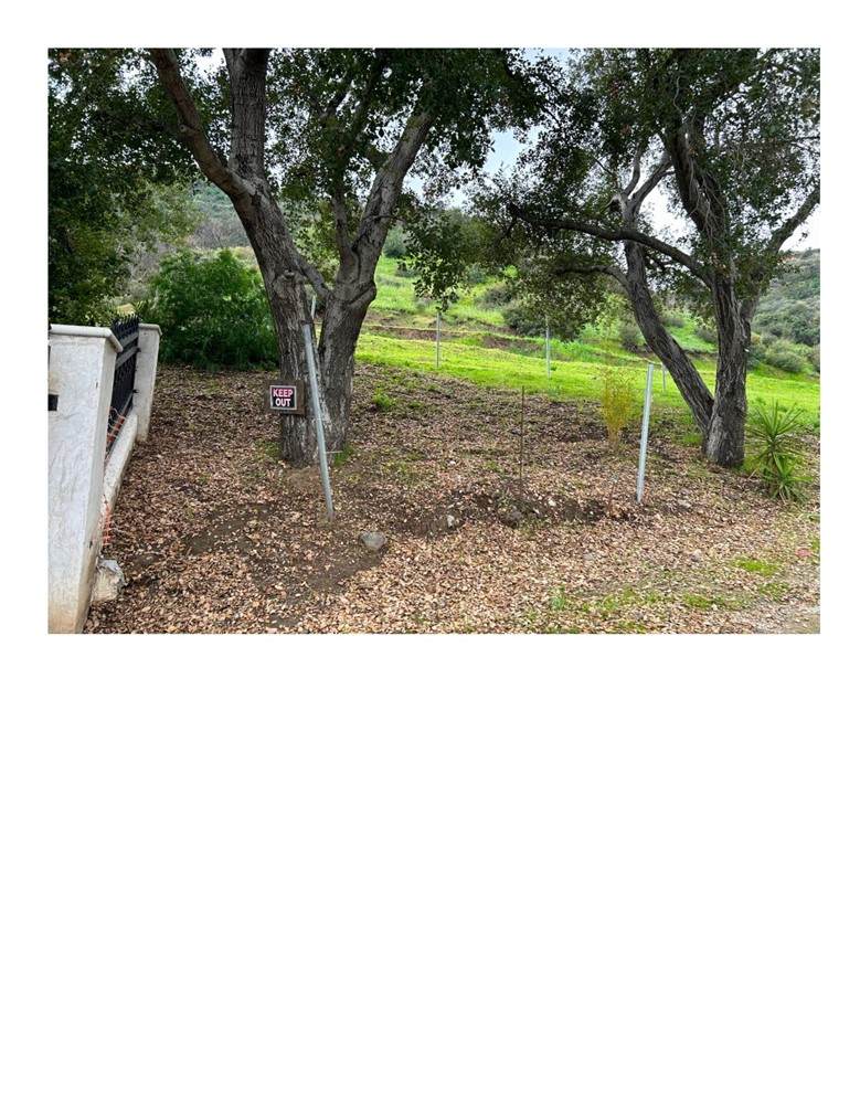 https://bt-photos.global.ssl.fastly.net/socal/orig_boomver_1_374592115-2.jpg