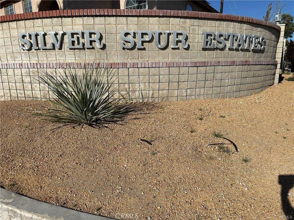 0 Silver Lace Lane - Photo 1