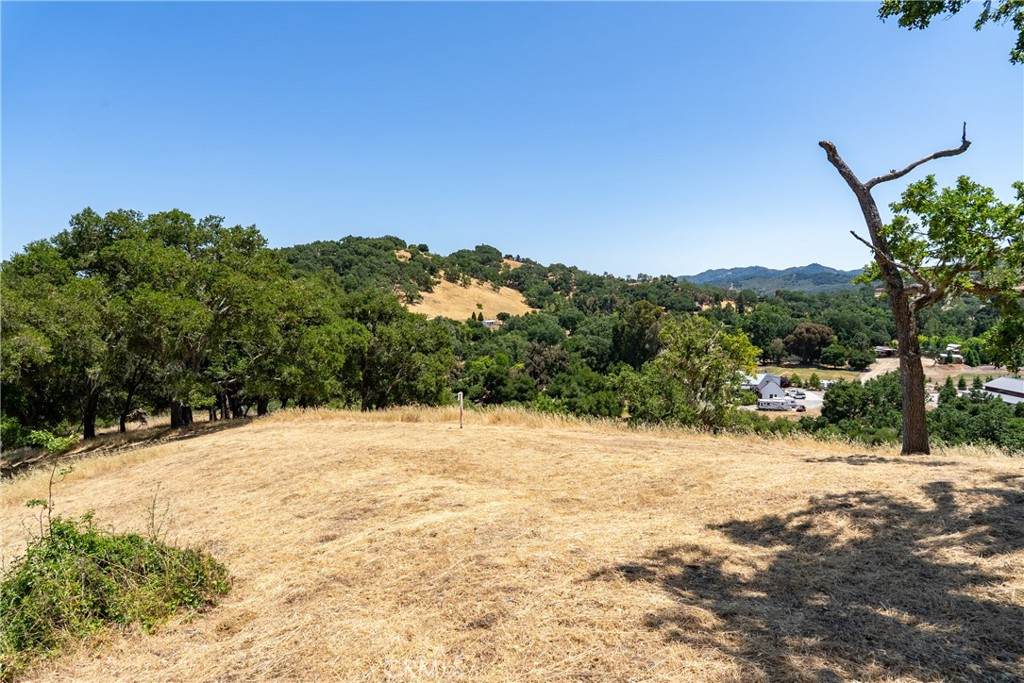 0 Los Gatos Road - Photo 1