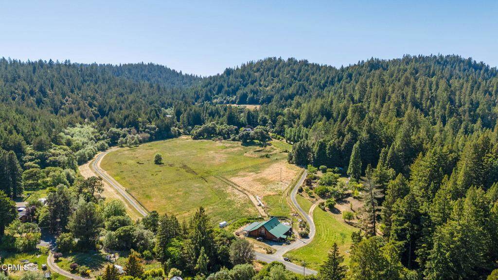 7950 Flynn Creek Road - Photo 1