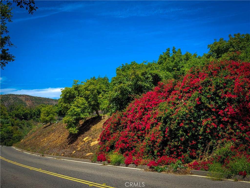 https://bt-photos.global.ssl.fastly.net/socal/orig_boomver_1_374600915-2.jpg