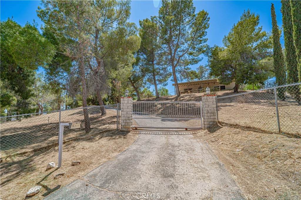 33511 Agua Dulce Canyon Road - Photo 1