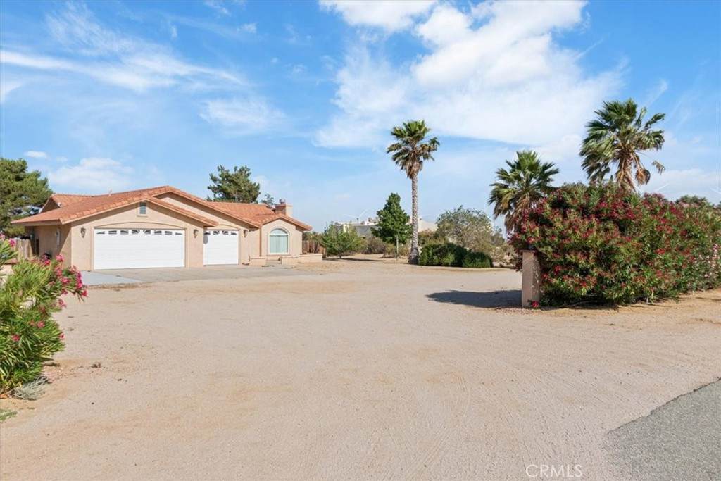 14296 Bieri Street - Photo 1