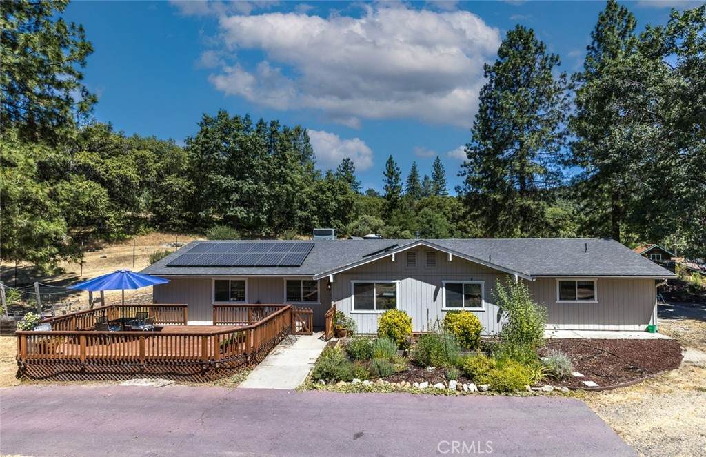 45315 Forest Ridge Drive - Photo 1