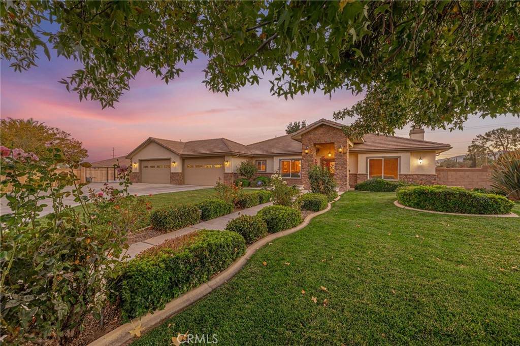2534 Desert Rose Drive - Photo 1
