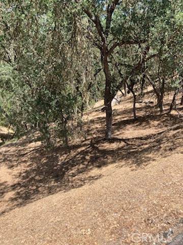 2668 Pine Ridge Road - Photo 1