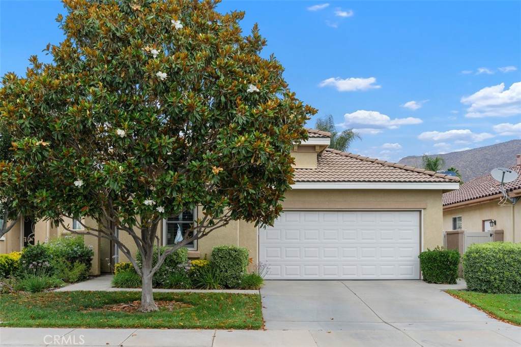 28208 Meadowsweet Drive - Photo 1
