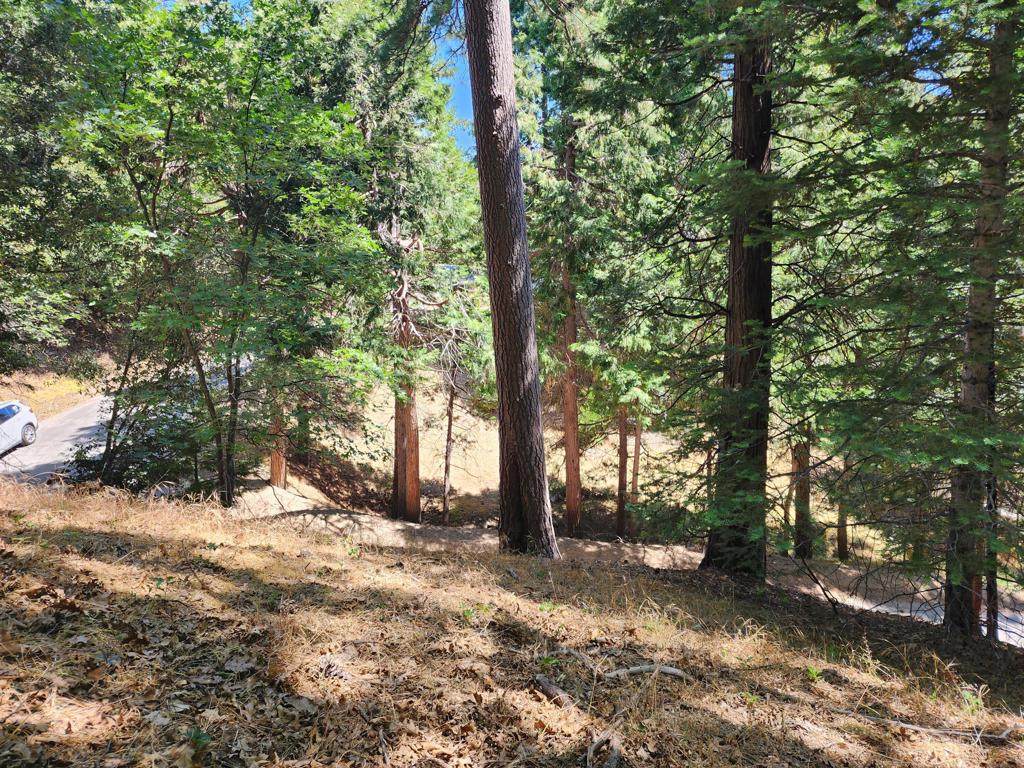 0 Edelweiss Drive - Photo 1