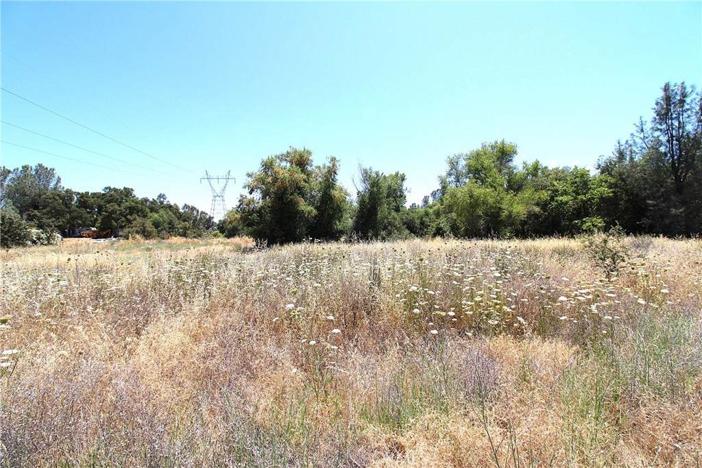 0 Las Plumas Avenue - Photo 1