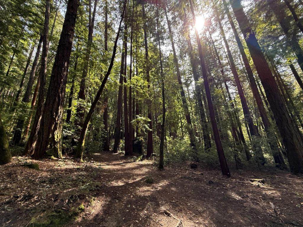 0 Slate Creek Rd. - Photo 1