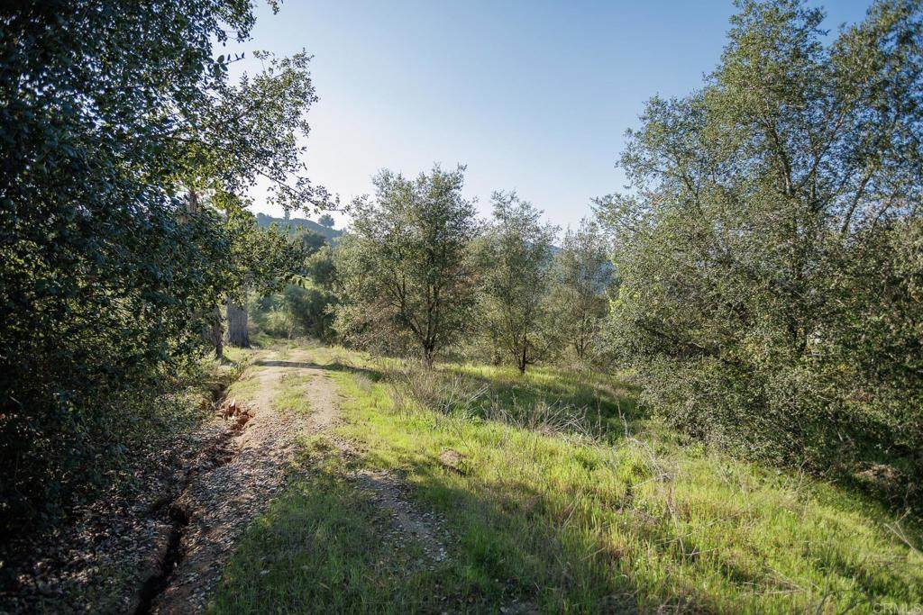 0 Mcnally Road - Photo 1