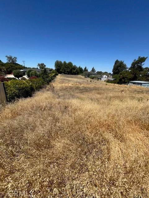 4515 Jardine Road - Photo 1